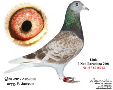 Likwidacja  hodowli. NL-17-1059656-Org. P. Janssen