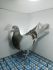 LIKWIDACJA PROFESJONALNEJ HODOWLI DV-21-09639-380 L.V.LOON-DELBAR
