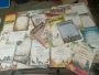 LIKWIDACJA PROFESJONALNEJ HODOWLI PL-0471 20 -8886 SUPER SAMICA OD WIELOKROTNEGO MISTRZA