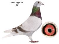 Linia Najlepszego Lotnika Polski 545 Krzysztof Kuś