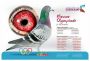 Linia Szarków Olympiade 003 Nieuwe Olympiade