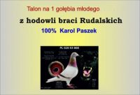 Mariusz Rudalski - bon na gołębia młodego 100% Karol Paszek