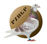 Naklejki na samochód