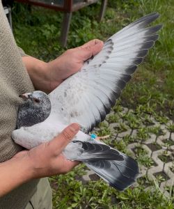 NIGDY NIE LECISZ SAM - aukcja charytatywna dla kolegi z oddziału