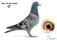 NL-13-1417403