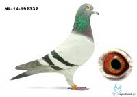 NL-14-192332