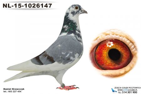 NL-15-1026147 oryg Theo Hoeks