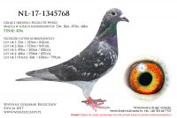 NL-17-1345768