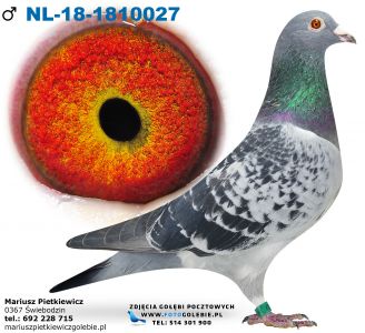 NL-18-1810027  Org. D.G. de Greef