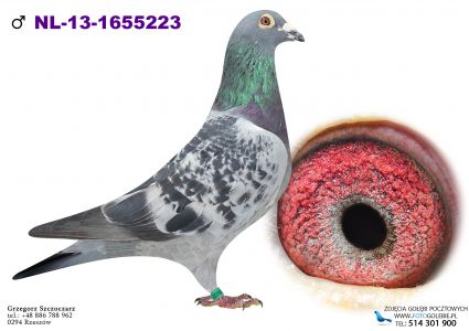 NL-2013-1655223 org. G. Koopman