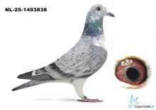 NL-25-1493838 Leideman