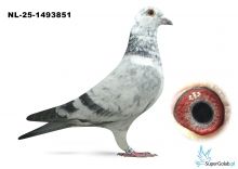 NL-25-1493851 Leideman