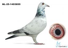 NL-25-1493855 - 100 % Leideman