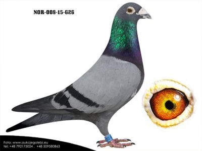 NOR-008-15-626