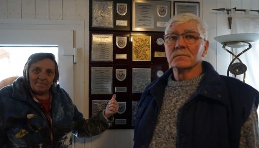 Pakiet 10 gołebi młodych rocznik 2026