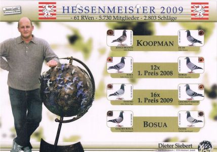 PAKIET 8  GOŁĘBI + DWA GRATIS!!! ORYG. DIETER SIEBERT