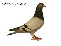 PD-19-1059270