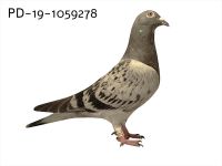 PD-19-1059278