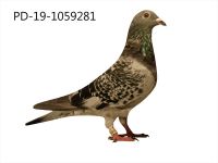 PD-19-1059281 SAMICA