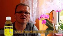 Piotr Wojciechowski