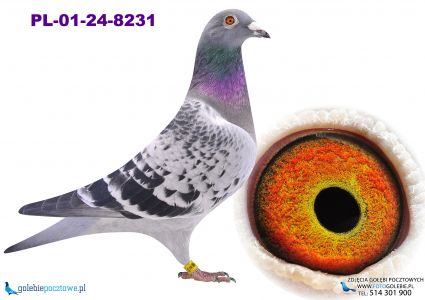 PL-01-24-8231_