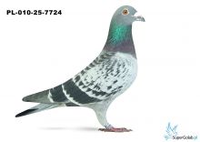 PL-010-25-7724 12. OKRĘG BIAŁA PODLASKA 