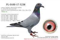 PL-0100-17-5238