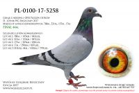 PL-0100-17-5258