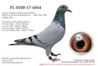 PL-0100-17-6044