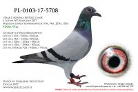 PL-0103-17-5708