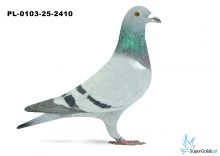 PL-0103-25-2410 8. OKRĘG CZĘSTOCHOWA 