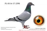 PL-0114-17-2390