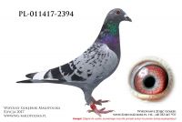 PL-0114-17-2394