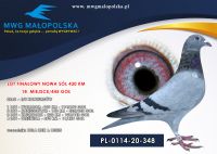 PL 0114 20 348 BUŁA IRENEUSZ & DENIS - 18m FINAŁ, 28– AS LOTNIK 4/5 KONKURSÓW. Konkurs nr 4 -11m !!!!!