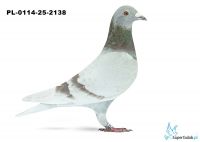 PL-0114-25-2138 26. OKRĘG ŚLĄSK WSCHÓD