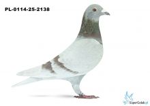 PL-0114-25-2138 26. OKRĘG ŚLĄSK WSCHÓD