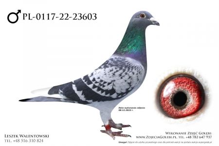 PL-0117-22-23603 - oryg. Leszek Kustra, linia olimpijek Tomasz Rumińskiego 7192 oraz 7150