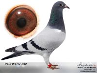 PL-0119-17-302