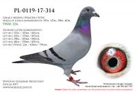 PL-0119-17-314
