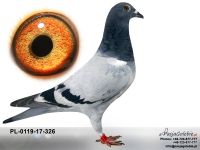 PL-0119-17-326