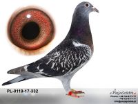 PL-0119-17-332