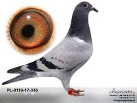 PL-0119-17-335