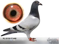 PL-0119-17-449