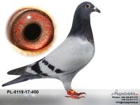 PL-0119-17-450