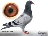 PL-0119-17-460