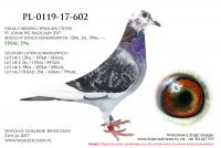 PL-0119-17-602