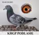PL-012-20-12822 Córka zwycięzcy na WG Pabianice