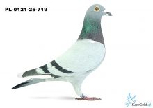 PL-0121-25-719 14. OKRĘG KATOWICE 