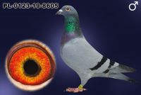 PL-0123-19-8605