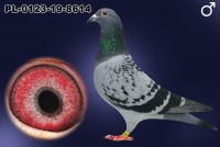 PL-0123-19-8614